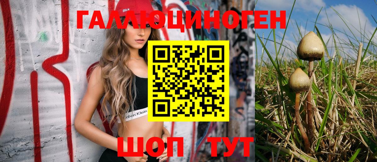 Псилоцибиновые грибы GOLDEN TEACHER Уварово