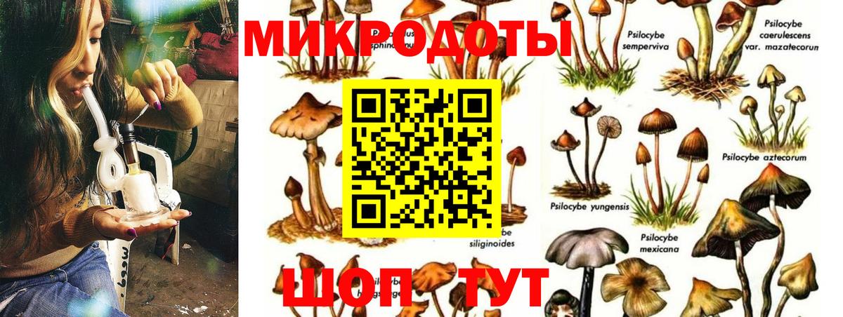 Псилоцибиновые грибы прущие грибы  Вход с VPN  Уварово  Псилоцибиновые грибы Magic Shrooms 